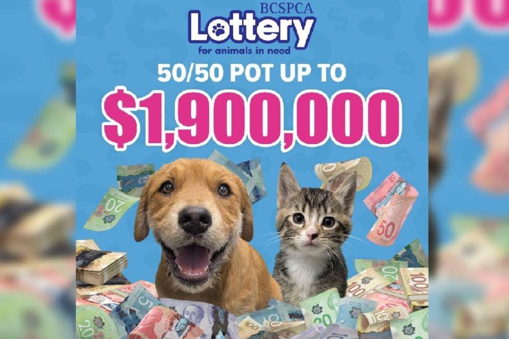 $1.9 million lottery launched by BC SPCA