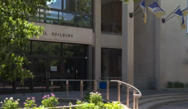 Meet the candidates running for open seats on Winnipeg council