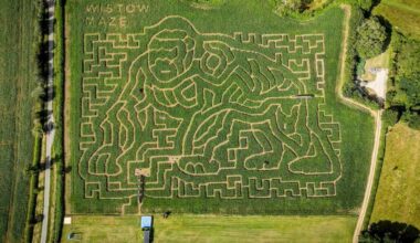 Giant Gorilla Maze Celebrates Sir David Attenborough’s 100th Birthday