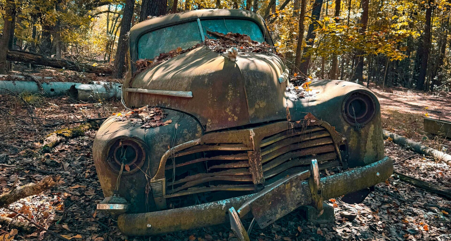 7 Vehicles We'd Love to Drag Out of the Woods and Restore