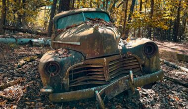 7 Vehicles We'd Love to Drag Out of the Woods and Restore