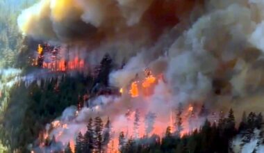 Do Canada’s wildfire policies need improvement? Here’s what experts say - CTV News