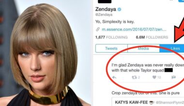 10 Years Since Snakegate: Taylor Swift Drama Revisited, Celeb Likes