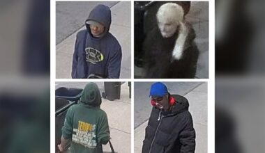 4 suspects sought after $30K Toronto home theft