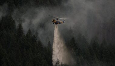 Passerby details futile attempt to stifle B.C. fire with frying pan before it became an inferno