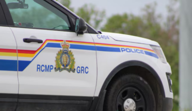Two people found dead after suspected wildlife incident near La Ronge - CTV News