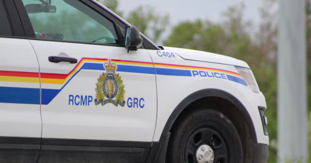 Two people found dead after suspected wildlife incident near La Ronge - CTV News