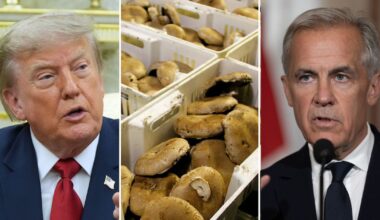 Trump tariffs: U.S. to increase levies on Canada mushrooms