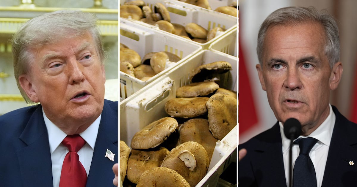 Trump tariffs: U.S. to increase levies on Canada mushrooms