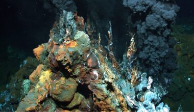 Record-Breaking Concentrations of Gold Discovered in The Seafloor : ScienceAlert
