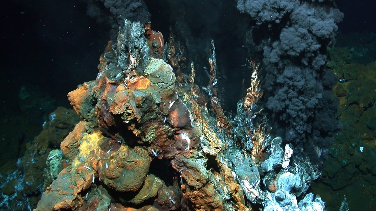 Record-Breaking Concentrations of Gold Discovered in The Seafloor : ScienceAlert
