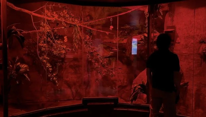 Renovated nocturnal wing at the Edmonton Valley Zoo.