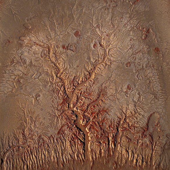 Third place: Barbara Brown, Australia. Sossuvlei Dune - Heavy rain had resulted in the dunes of Sossuvlei being flooded.