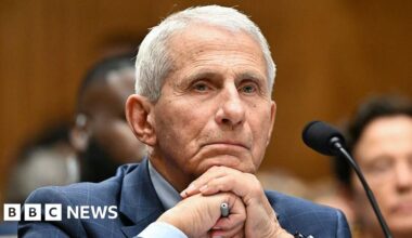 Anthony Fauci refuses to answer questions during tense US Senate hearing about Covid origins