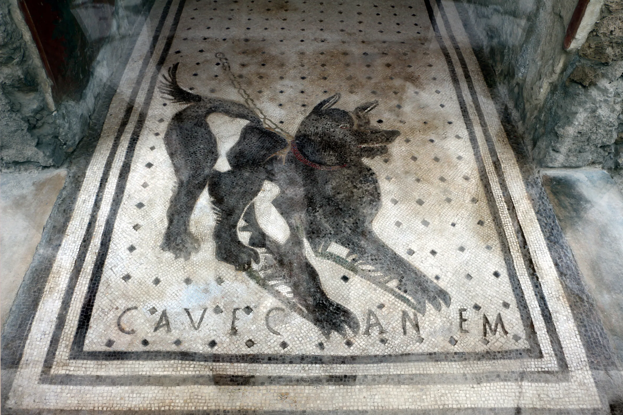 Roman mosaic with the image of a chained dog and the words "Cave Canem" (Beware of the dog) at the House of the Tragic Poet in Pompeii.