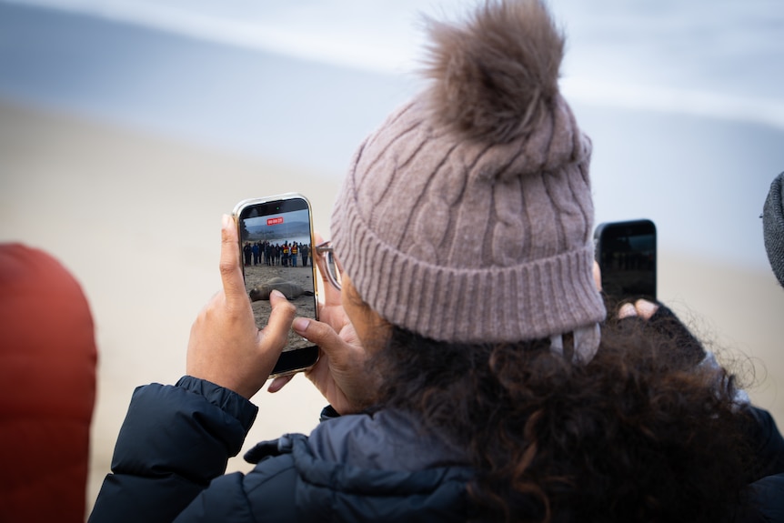 A woman, photographed from behind, holds her phone and photographs Neil the Seal on a beach.