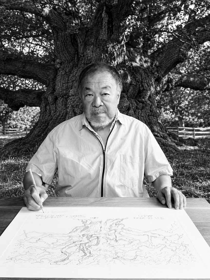 ai weiwei on why a dying tree inspired his first drawing in more than 50 years - 4