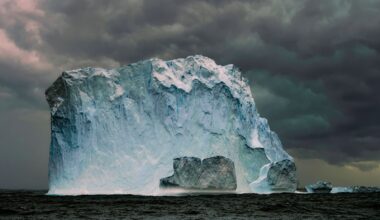 Antarctic icefish are the only vertebrates on Earth with no red blood cells and no haemoglobin, running clear plasma through oversized hearts in water so cold it would freeze the blood of every other fish that tried to swim there