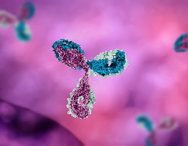 Decades of research reveal surprising secrets about hantavirus evolution