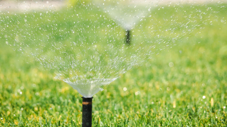 A sprinkler in action, spraying water on a lawn