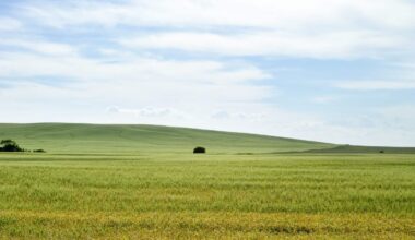Farm Management Canada report promotes national risk management strategy
