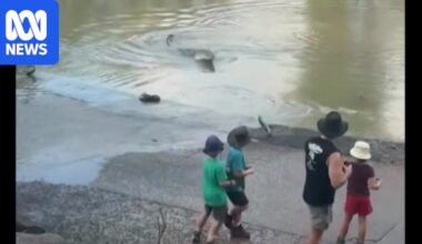 Video of close encounter at Kakadu's Cahills Crossing sparks fresh warning against complacency