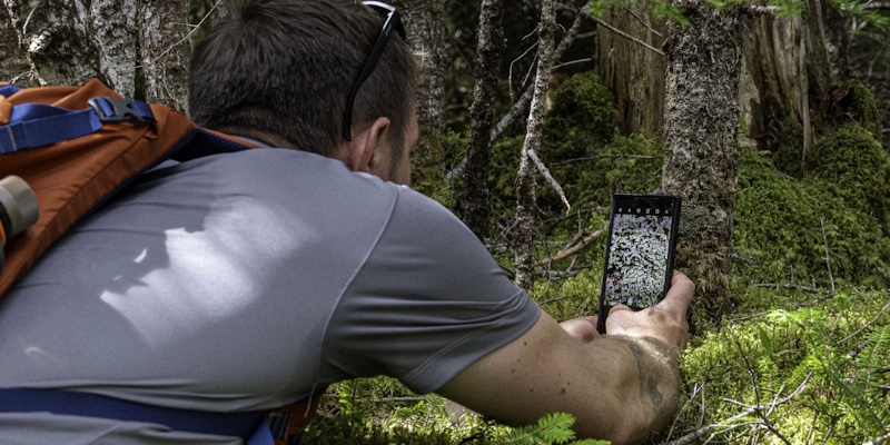 Nature Conservancy of Canada's Big Backyard BioBlitz Running This Week