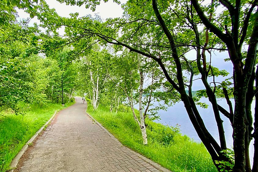 Bell Park is a sea of green Image credit Bryan Dearsley