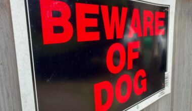 BC Supreme Court awards damages in nasty Surrey, BC neighbour dispute