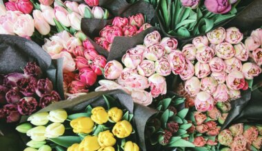 5 of the Best Florists in Mississauga and Toronto for Same-Day Flower Delivery — Modern Mississauga Media
