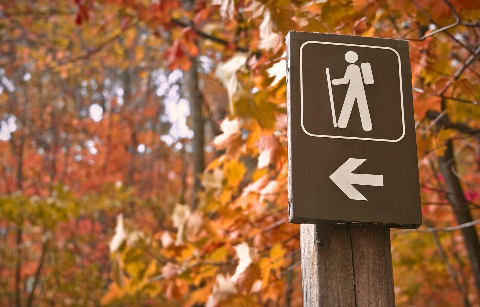 Hiking signage against a fall backdrop.