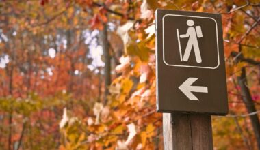 Hiking signage against a fall backdrop.