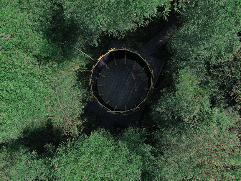 a black fabric veil hovers within a raw bamboo matrix in hubei's dense grove - 1