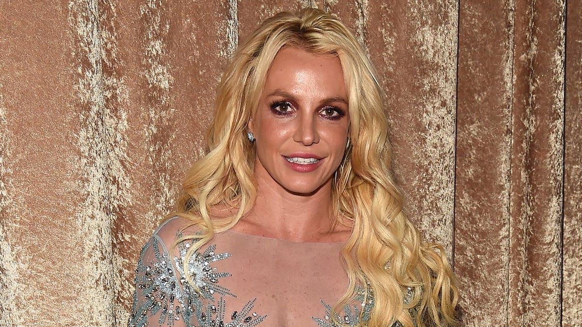 Britney Spears wears sheer dress