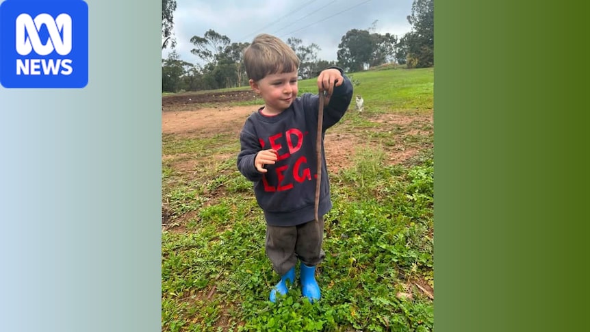 Giant earthworms found in SA 'almost certainly' a new species
