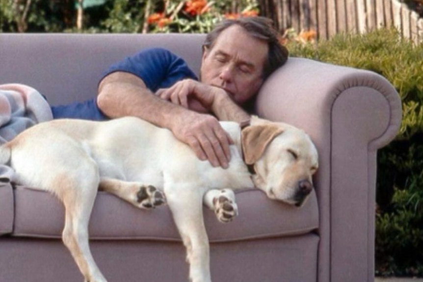 A dark haired man in a blue shirt lies on a faded couch outdoors holding a labrador, both sleeping.