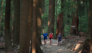 Metro Vancouver outside workers on strike indefinitely at regional parks