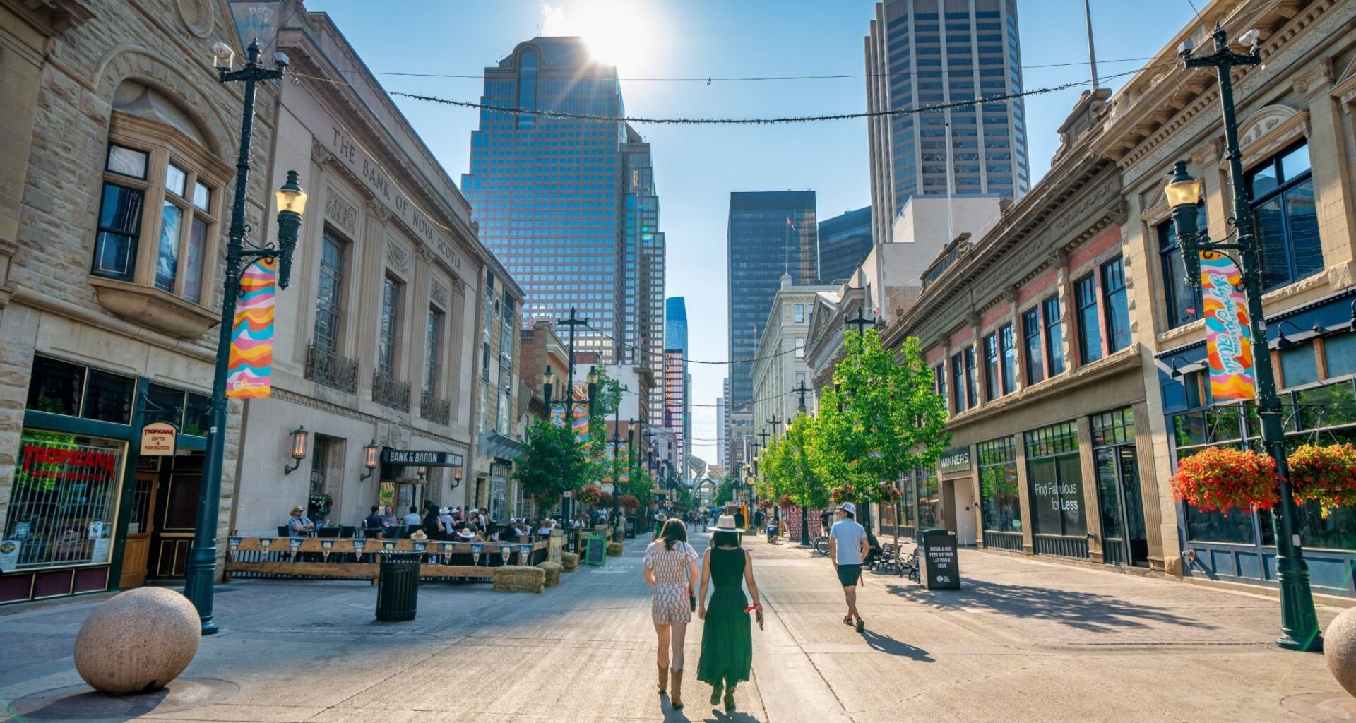 dh logo