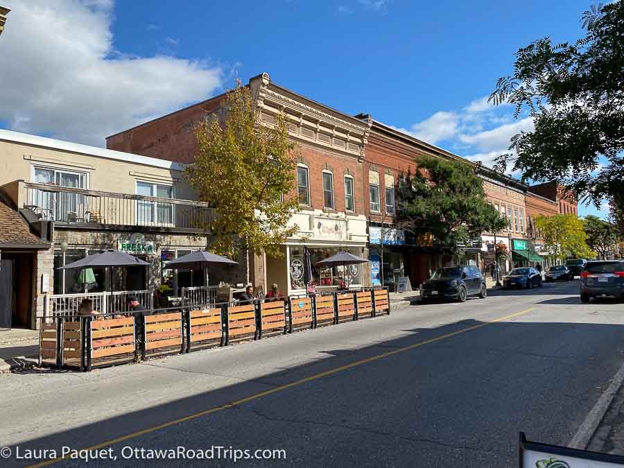 shops on bridge street in carleton place, ontario.