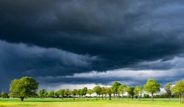Atmospheric Rivers Trigger Marine Heatwaves in Winter