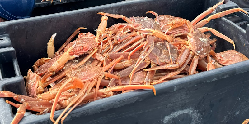 Seafood Industry Passes Major Milestone