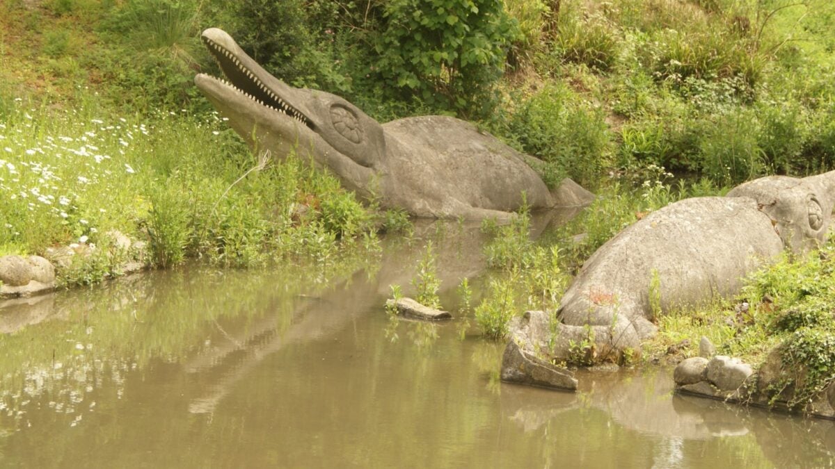 Ancient Roman May Have Been the World's First Collector of Sea Monster Fossils