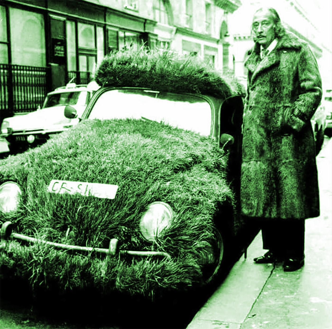 Cs Dali Grassvw 2