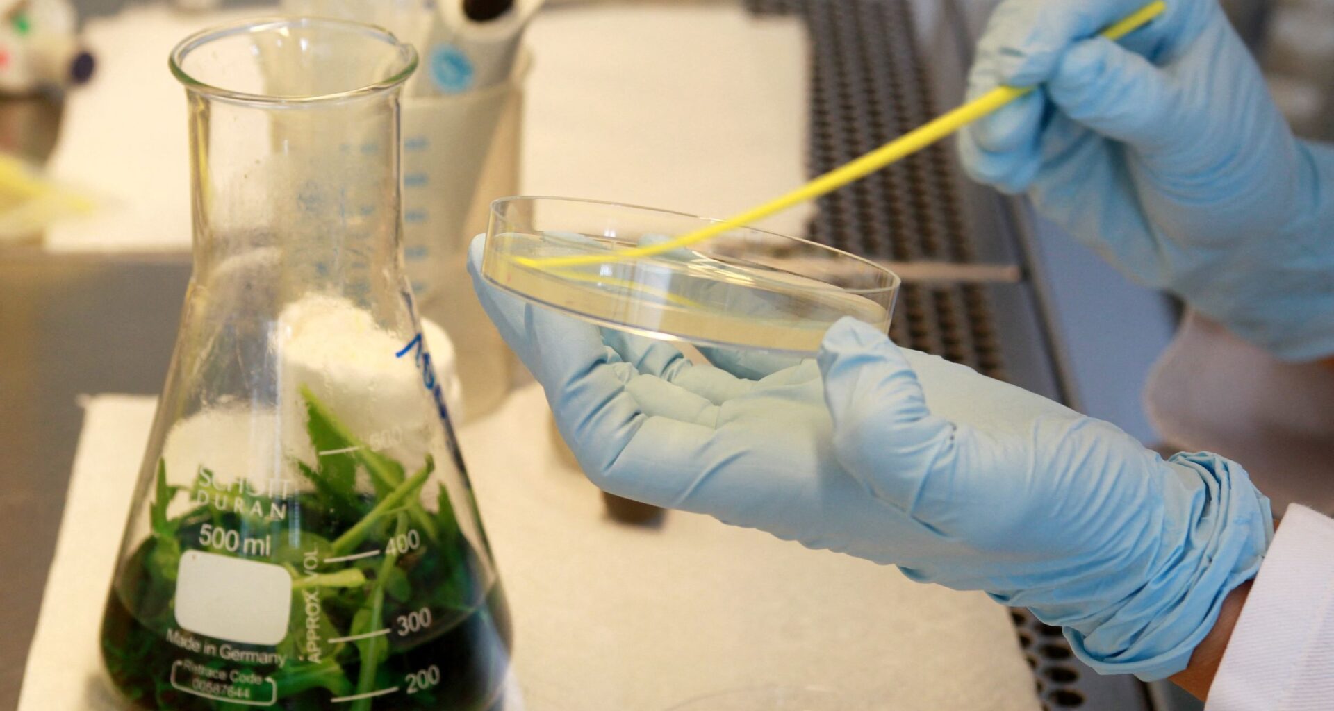 Michigan's Cyclospora Parasite Outbreak Has Exploded…