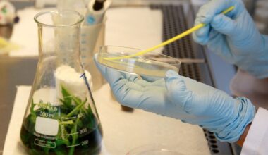 Michigan's Cyclospora Parasite Outbreak Has Exploded…