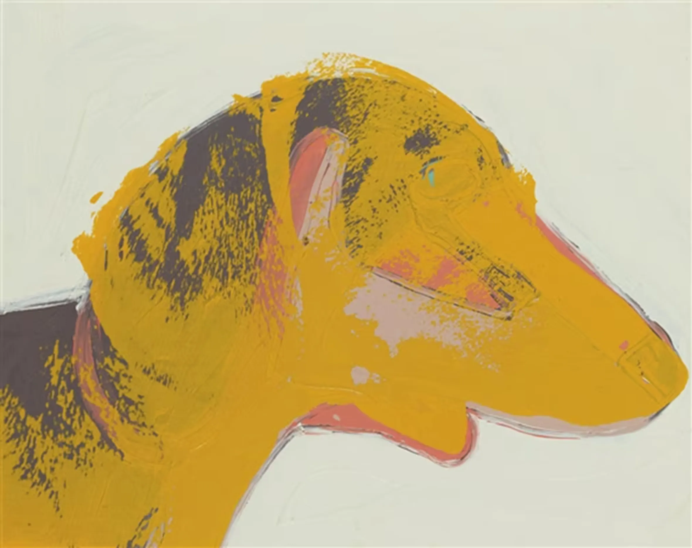 Illustration of Amos, a dog, by Andy Warhol, with a yellow head and dark brown body on a light background.