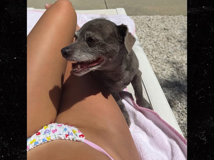 Celebrity Hot Dog Legs -- Guess Who!