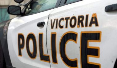 3 hurt, 2 arrested after confrontation near Victoria’s Beacon Hill Park