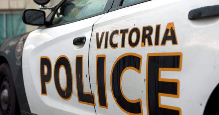 3 hurt, 2 arrested after confrontation near Victoria’s Beacon Hill Park