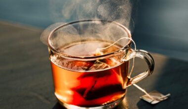 Does Tea Hydrate You? Dietitians Explain